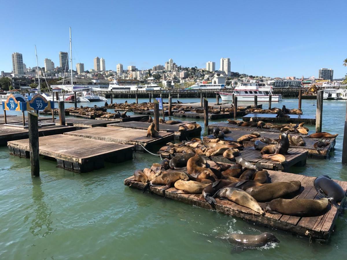 Bayview Penthouse Hotel San Francisco Zewnętrze zdjęcie